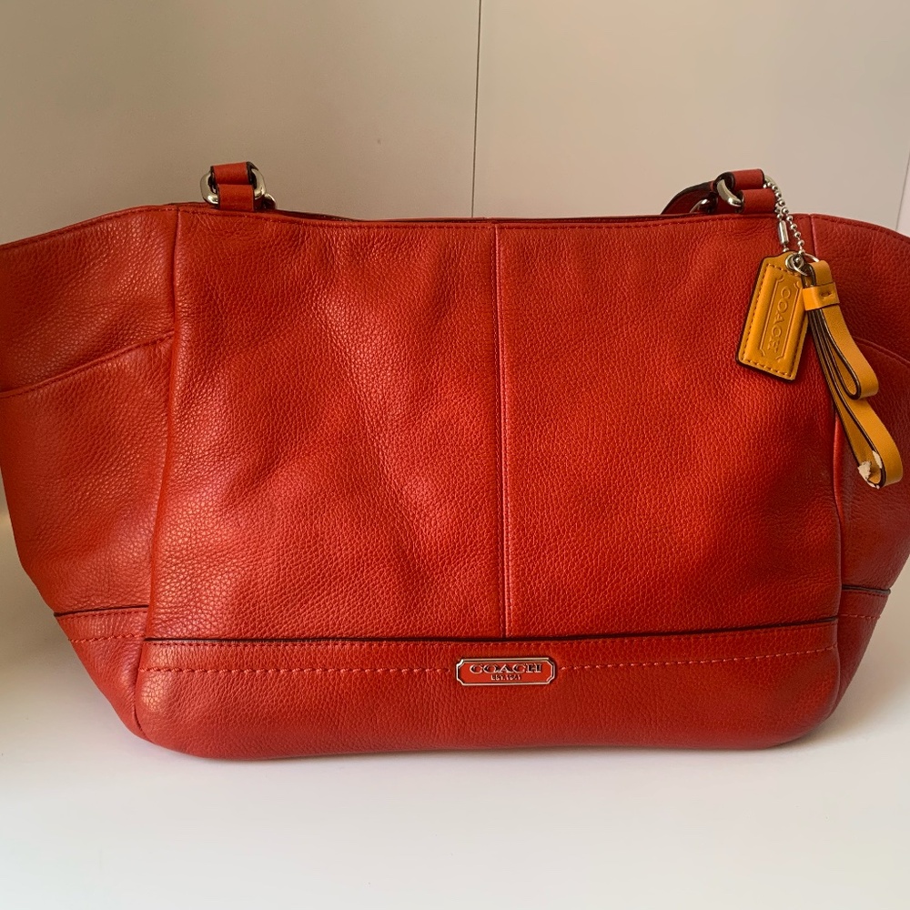 Coach Park Leather Carrie Tote